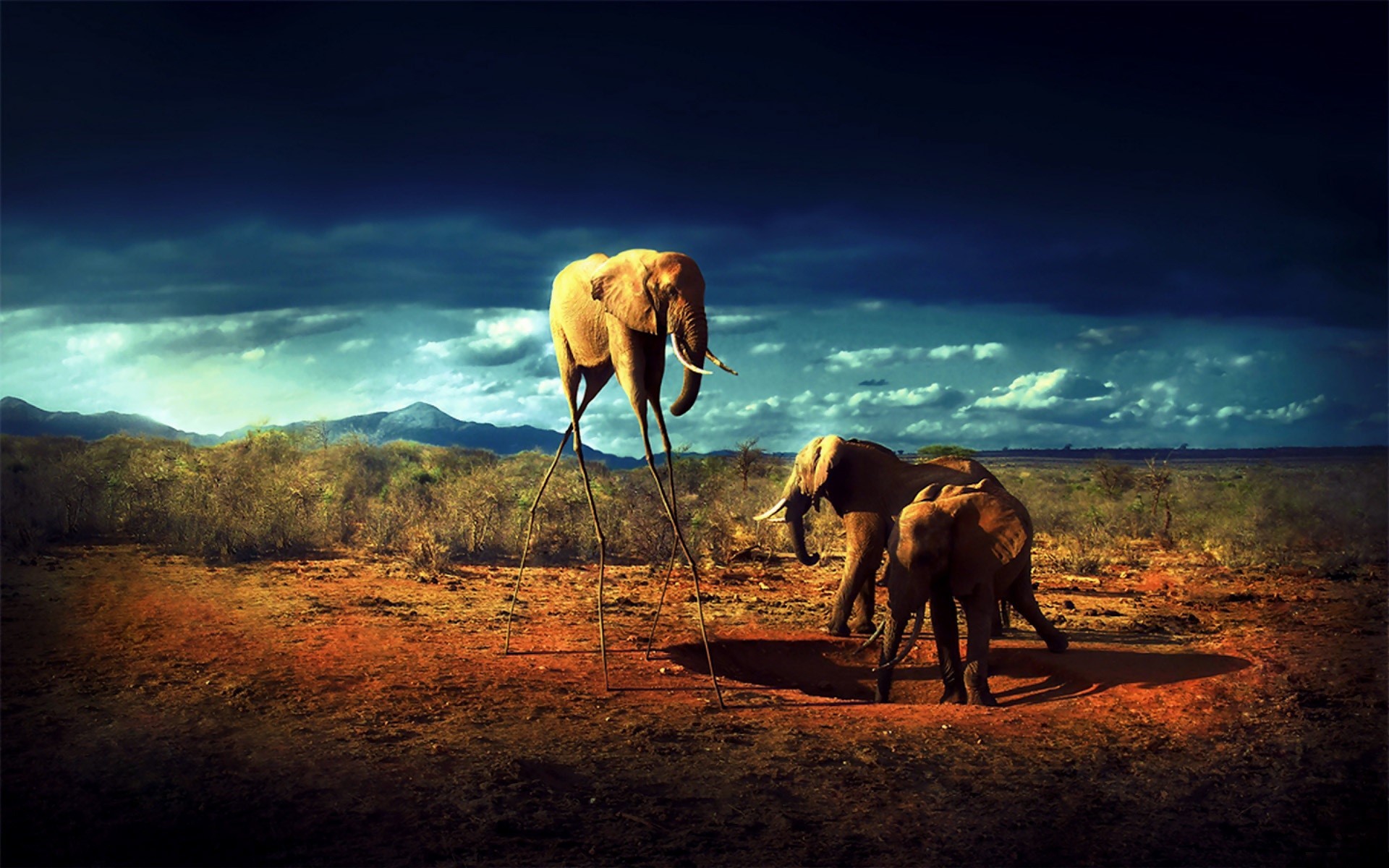 1920x1200, Appstorm Â - Elephant Manipulation - HD Wallpaper 