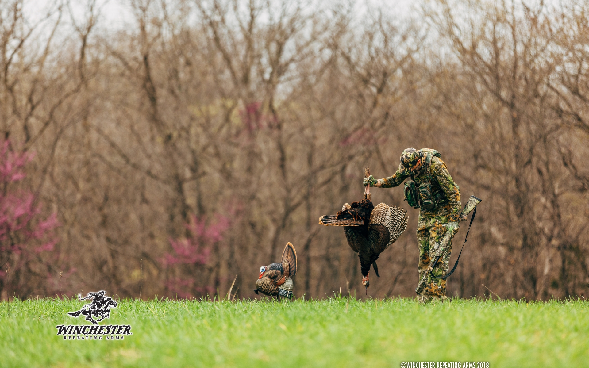 Sniper - HD Wallpaper 