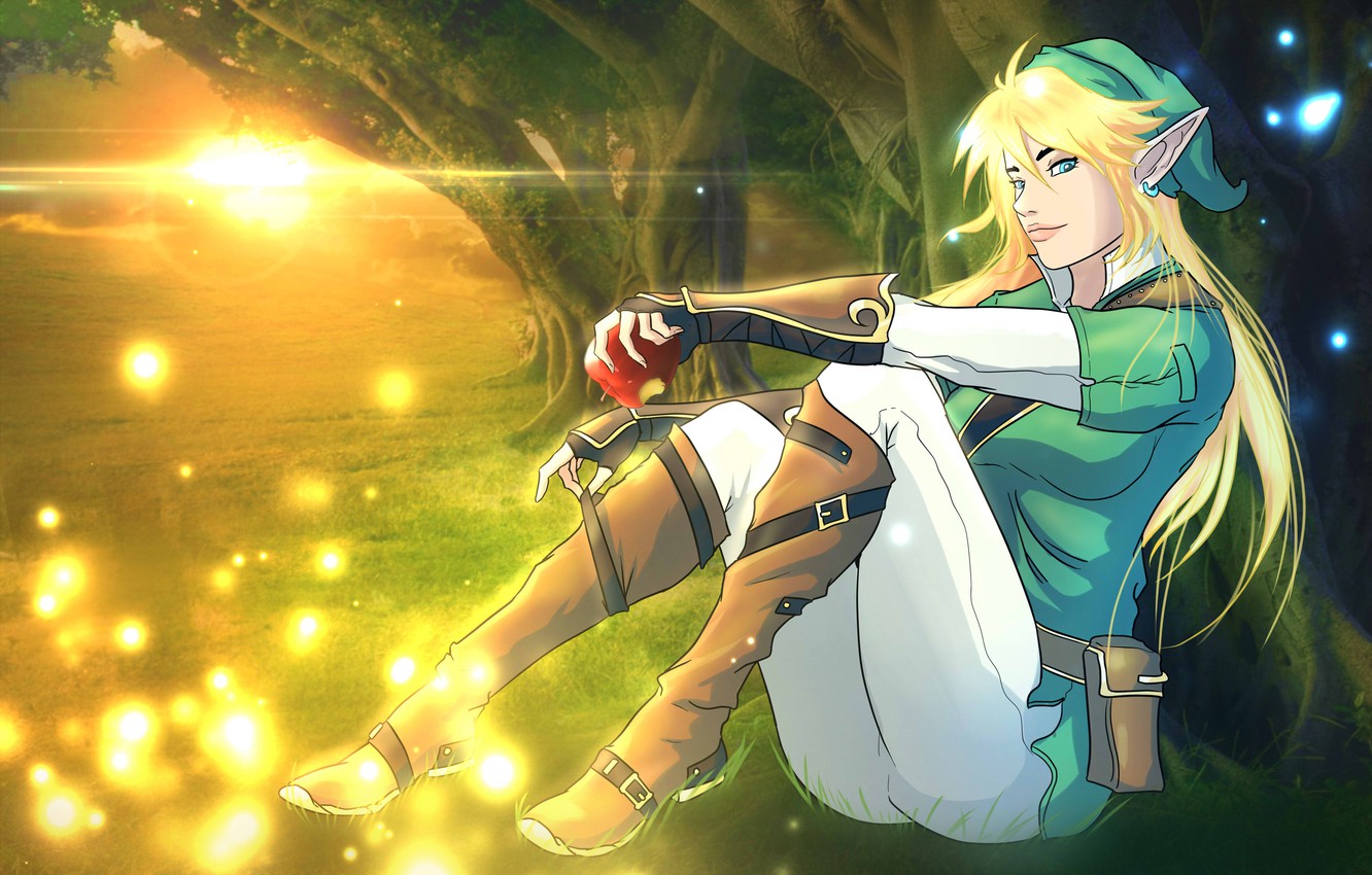 Photo Wallpaper Forest, Girl, Elf, Fan Art, Link, Legend - Legend Of Zelda Fanart - HD Wallpaper 