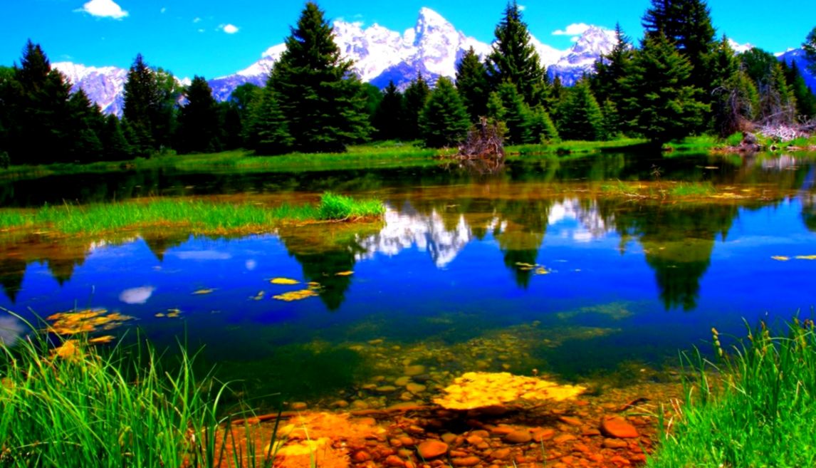 Hd Wallpapers Mother Nature Windows Beautiful Green - Nature Image High Resolution - 1146x657 Wallpaper Hd Wallpapers Mother Nature Windows Beautiful Green - Nature Image High Resolution - 1146x657 Wallpaper