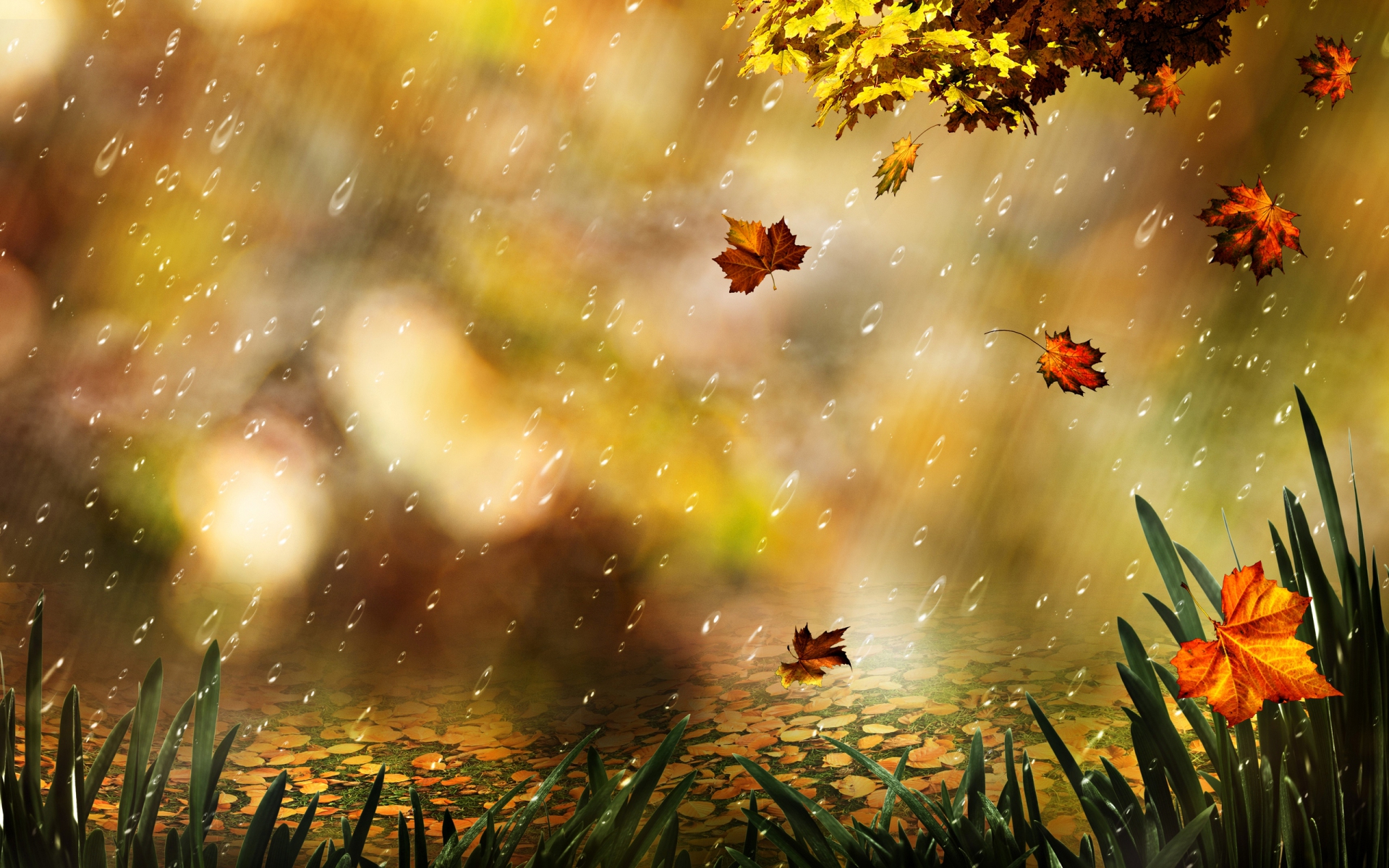 Fall Computer Wallpapers, Desktop Backgrounds - Autumn Leaves And Rain - HD Wallpaper 