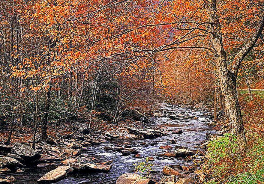 Fall Computer Wallpaper Wallpaper Fall Computer Wallpaper - Autumn Brook In Woods - HD Wallpaper 