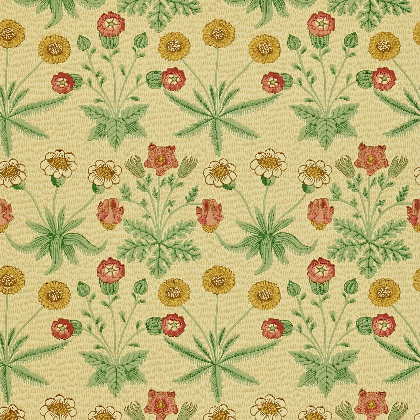 Wr8479/1 Daisy Manilla/russet Wallpaper By Morris & - HD Wallpaper 
