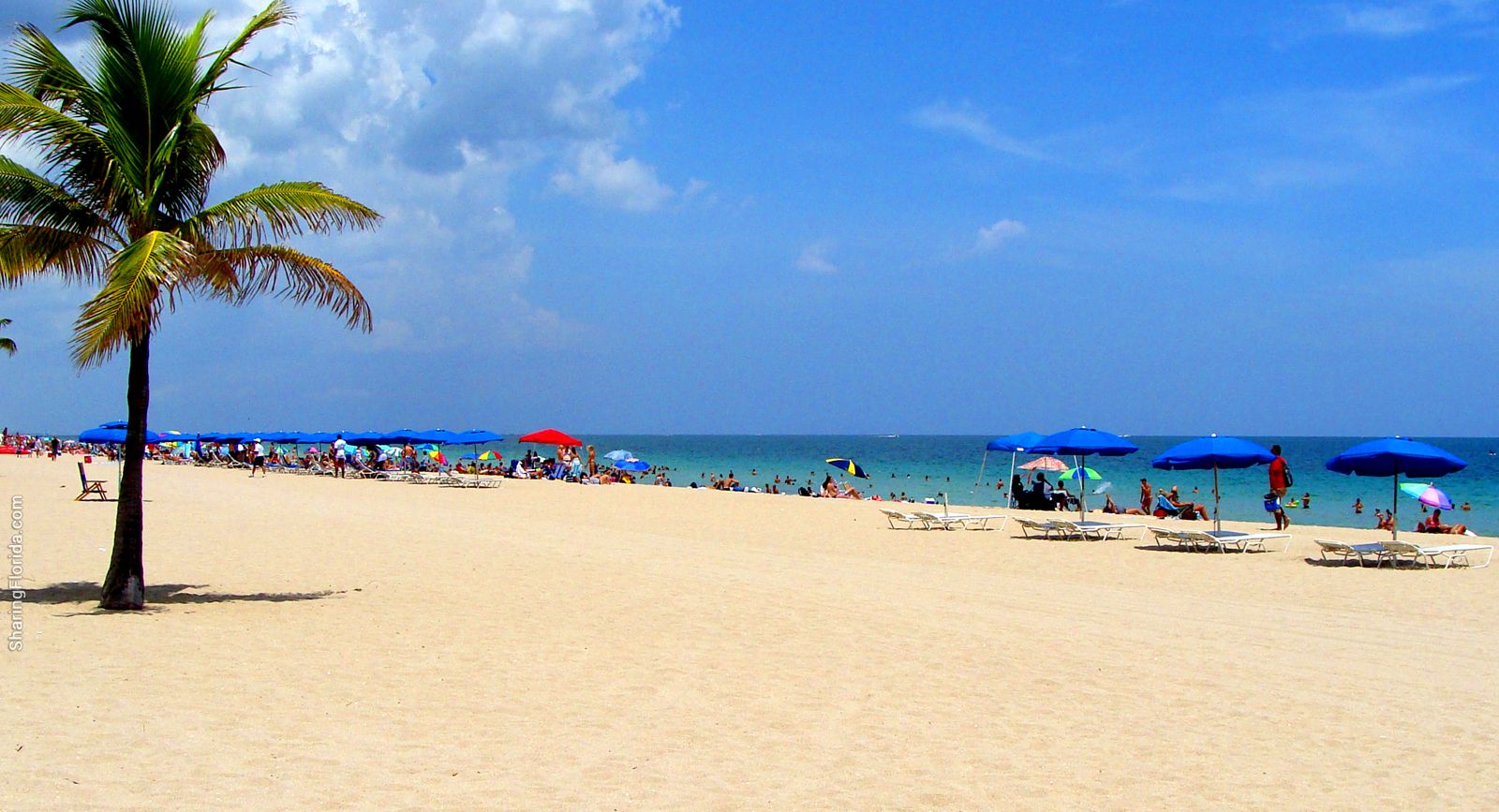 Florida Beach Background - HD Wallpaper 