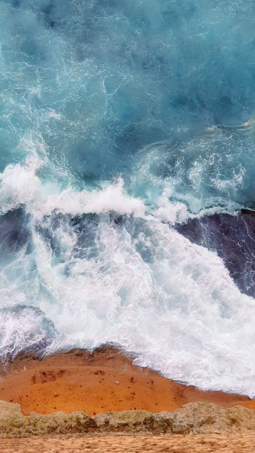 Wallpaper - HD Wallpaper 