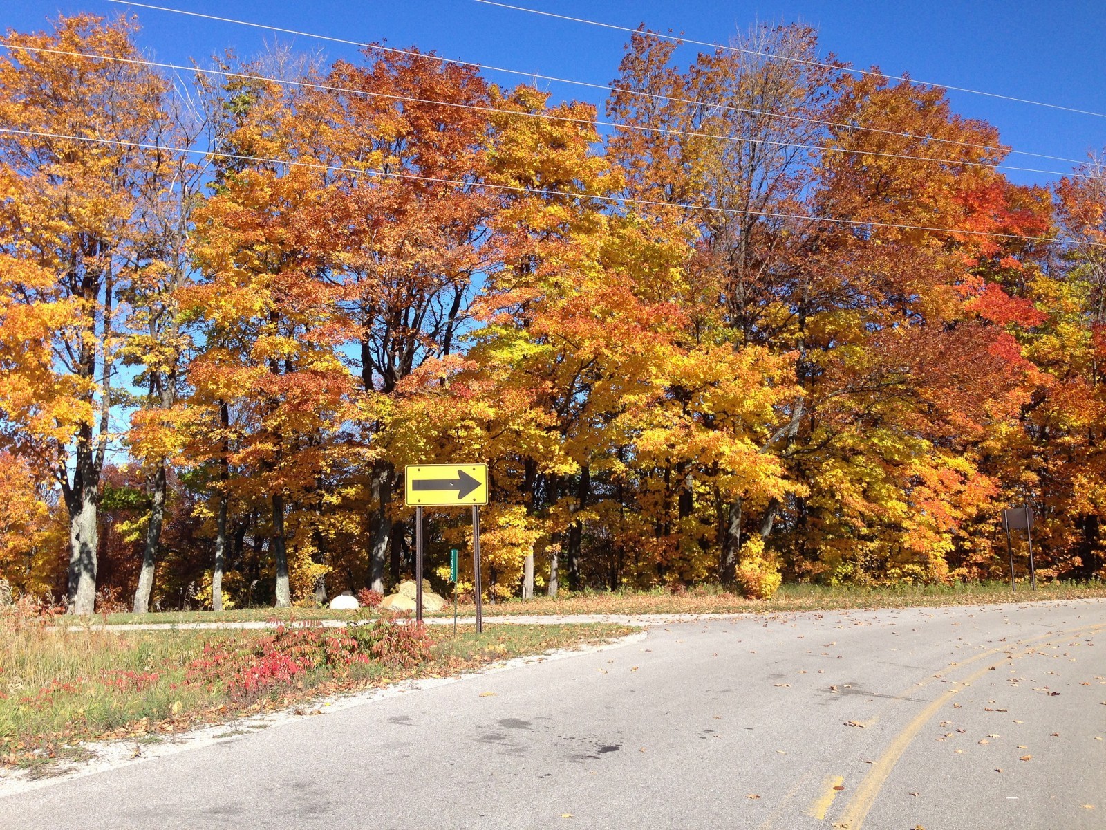 Autumn - HD Wallpaper 