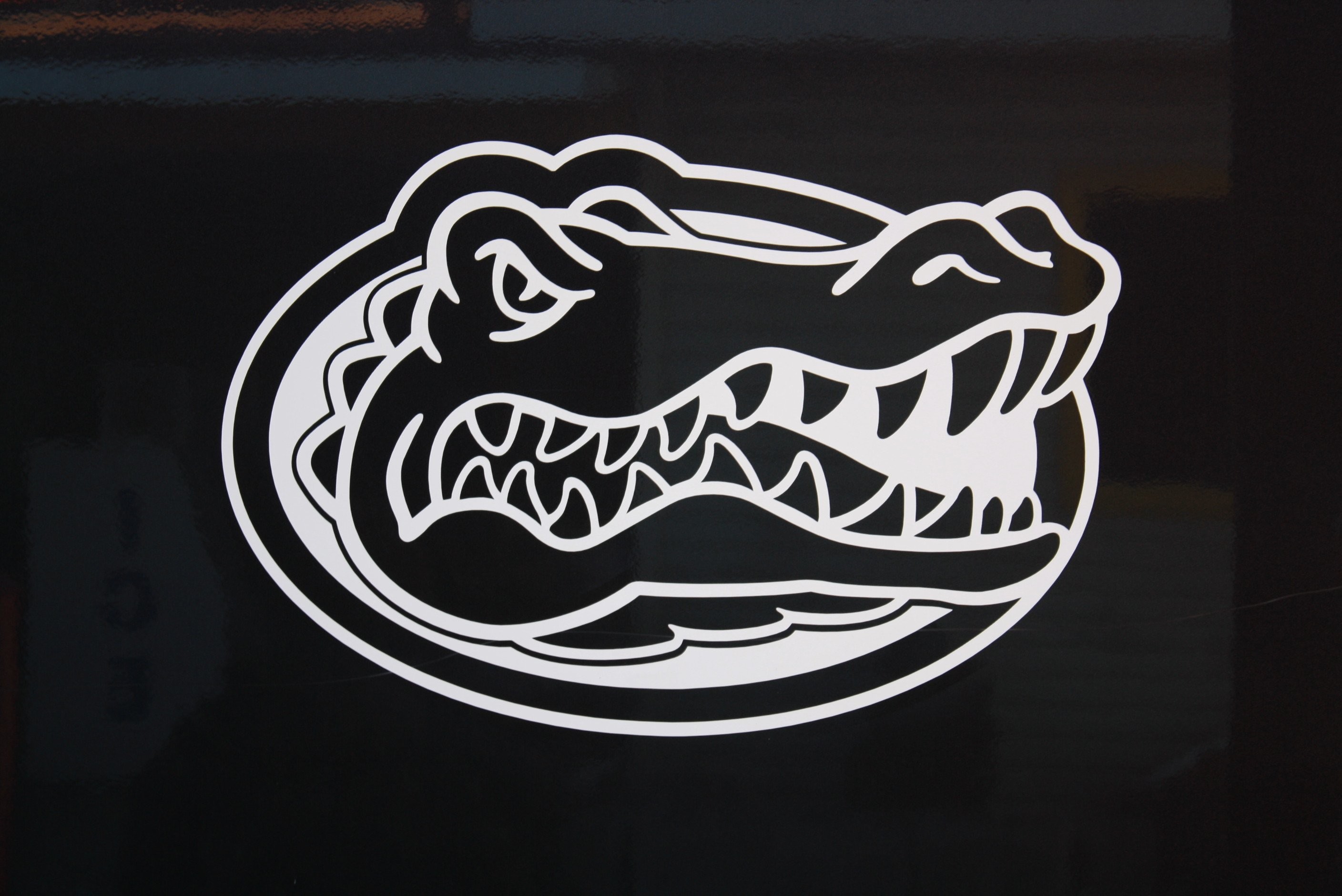 Gator Wallpaper For Ipad Wallpapersafari - Florida Gators Decal - HD Wallpaper 