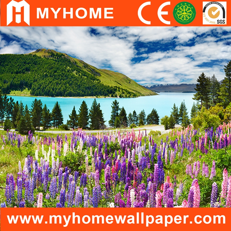 Home Decorating Scenery 3d Self Adhesive Photo Wallpaper - New Zealand - HD Wallpaper 