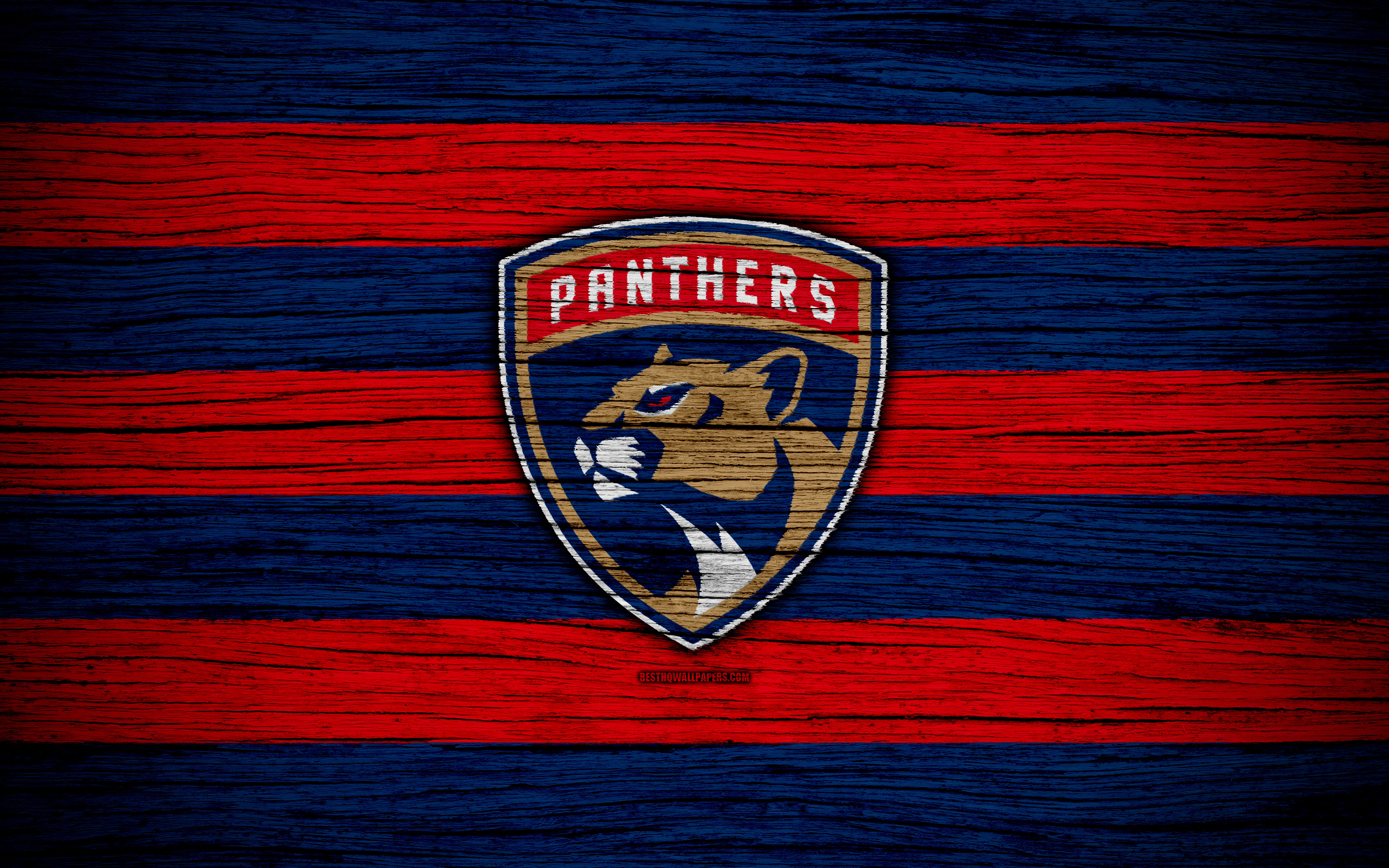 Florida Panthers Cool Background - HD Wallpaper 