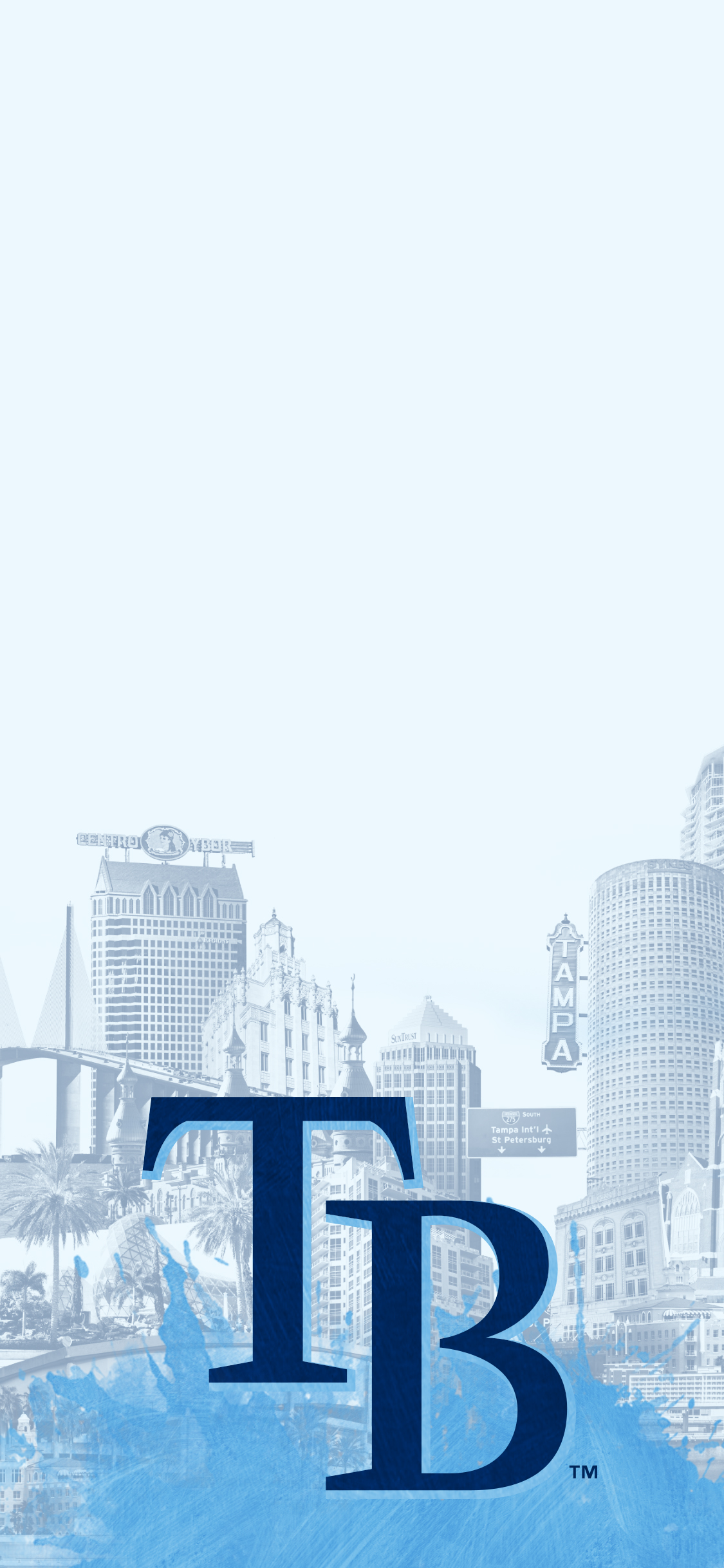 Tampa Bay Rays - HD Wallpaper 