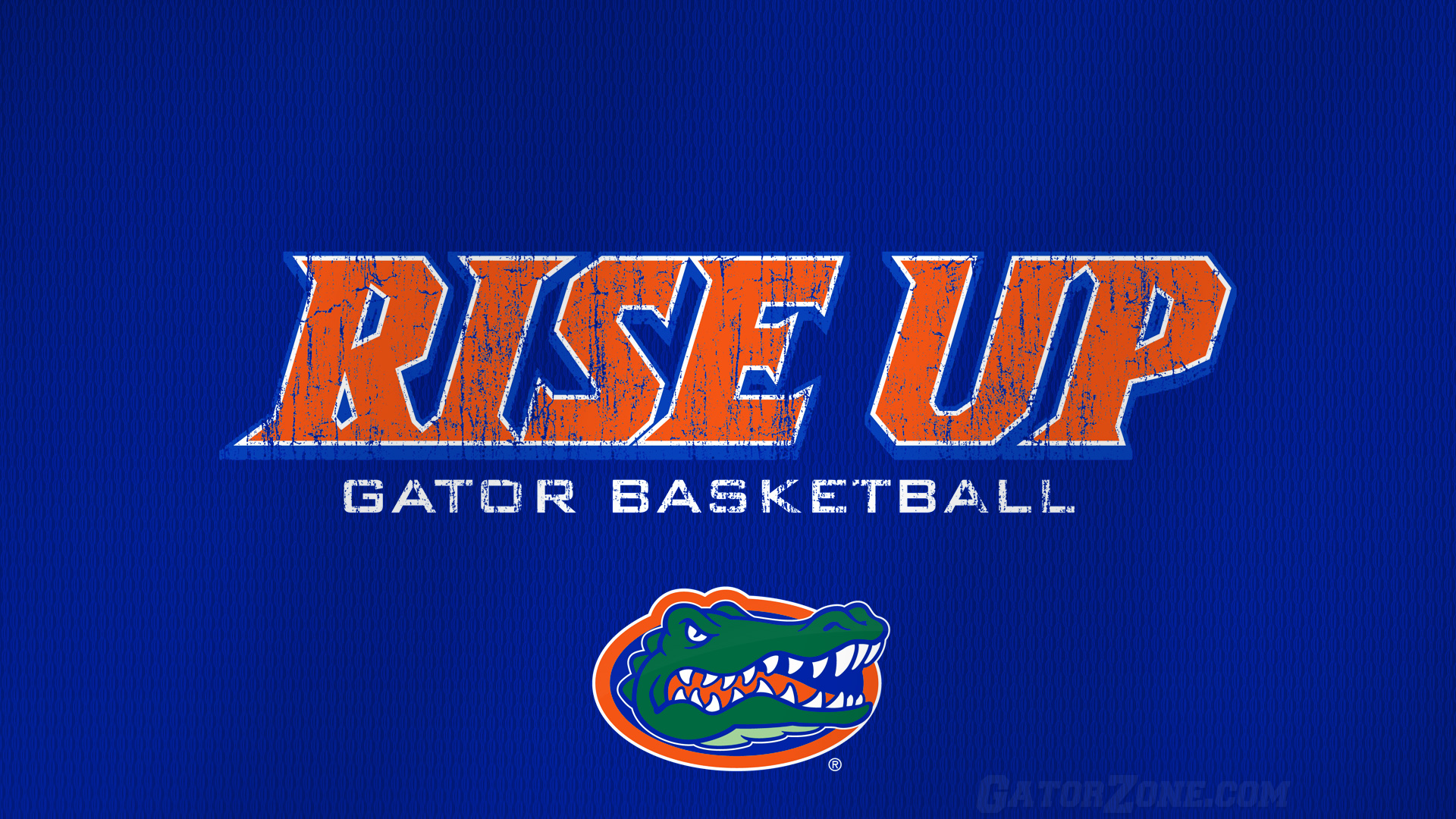 Florida Gators - HD Wallpaper 