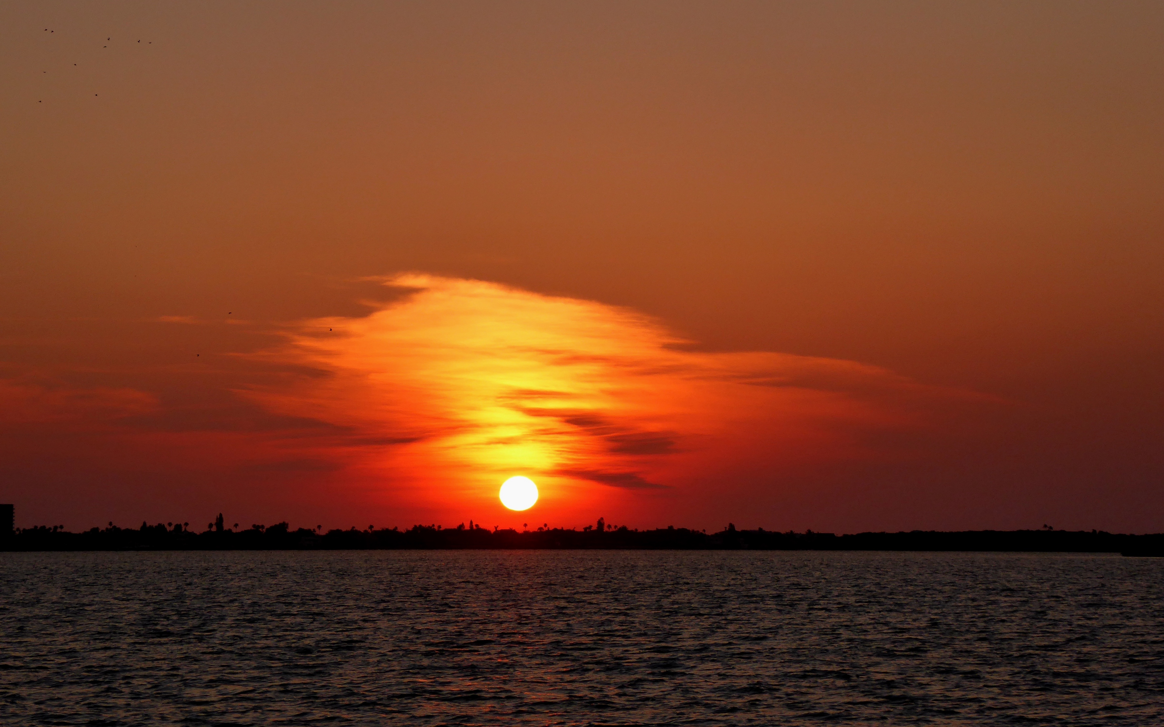 Wallpaper Florida, Beach, Horizon, Sunset - Sunset - HD Wallpaper 
