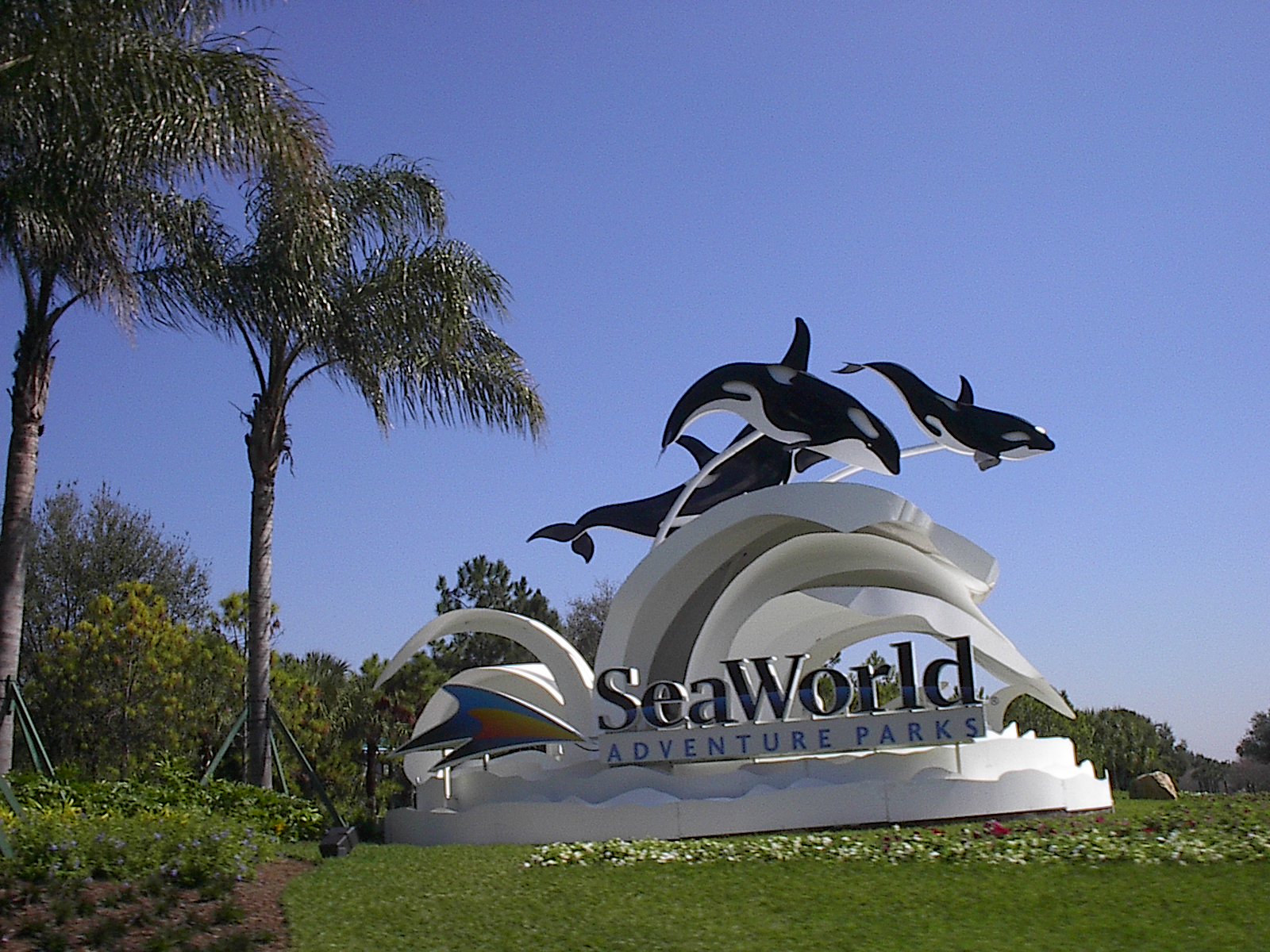 Seaworld Orlando - HD Wallpaper 