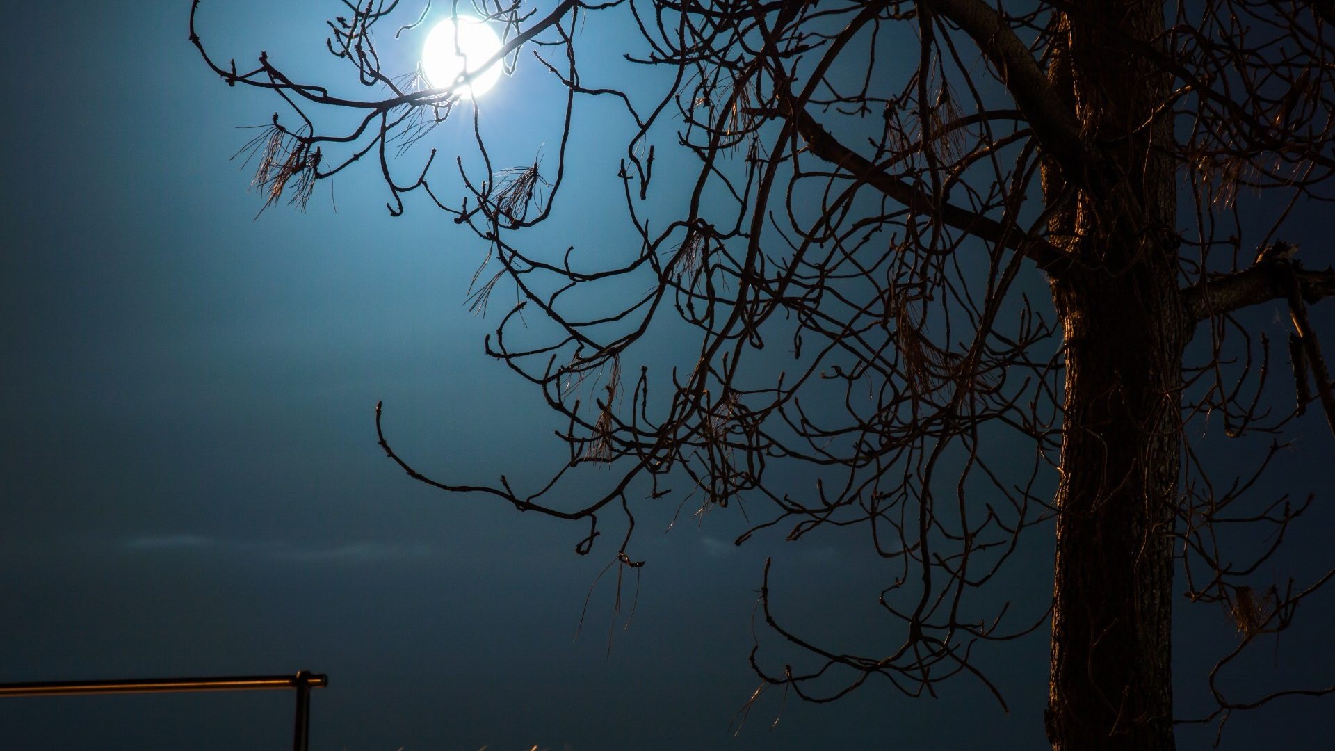 Moonlight Nature Wallpaper High Quality Resolution - Moon Light High Resolution - HD Wallpaper 