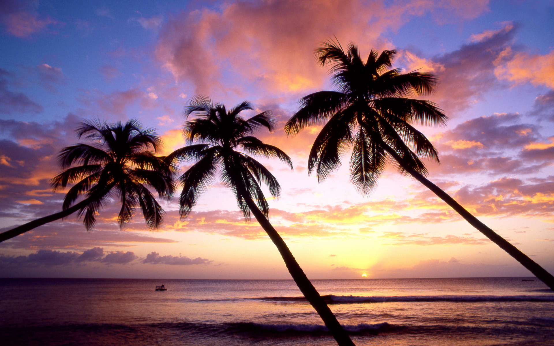 Key West Wallpaper 836836 Key West Wallpaper 836773 - Summer Beach Palm Tree - HD Wallpaper 