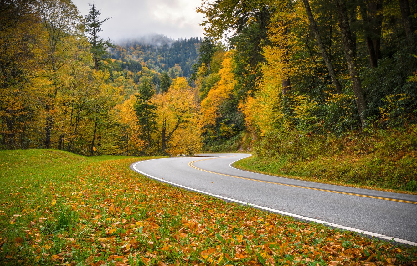 Photo Wallpaper Road, Autumn, Forest, Tennessee, Tn, - Smoky Mountains Fall Screensavers - HD Wallpaper 