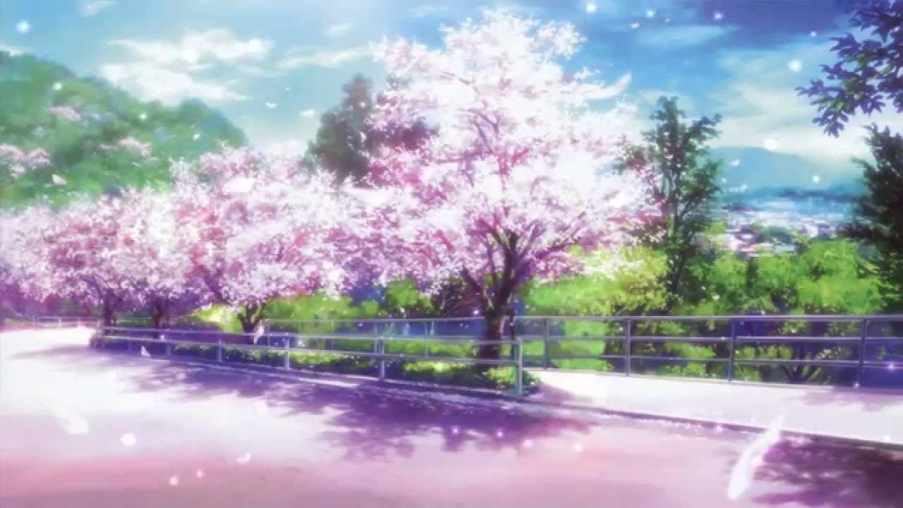 Cherry Blossom Anime Park Background - HD Wallpaper 