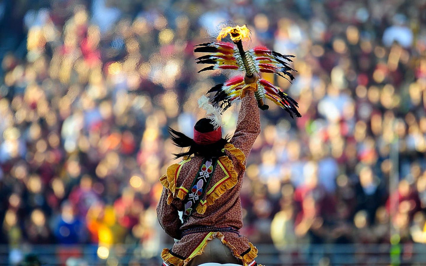 Post Your Favorite Fsu 2014 Football Wallpapers Here - Fsu Computer Backgrounds - HD Wallpaper 