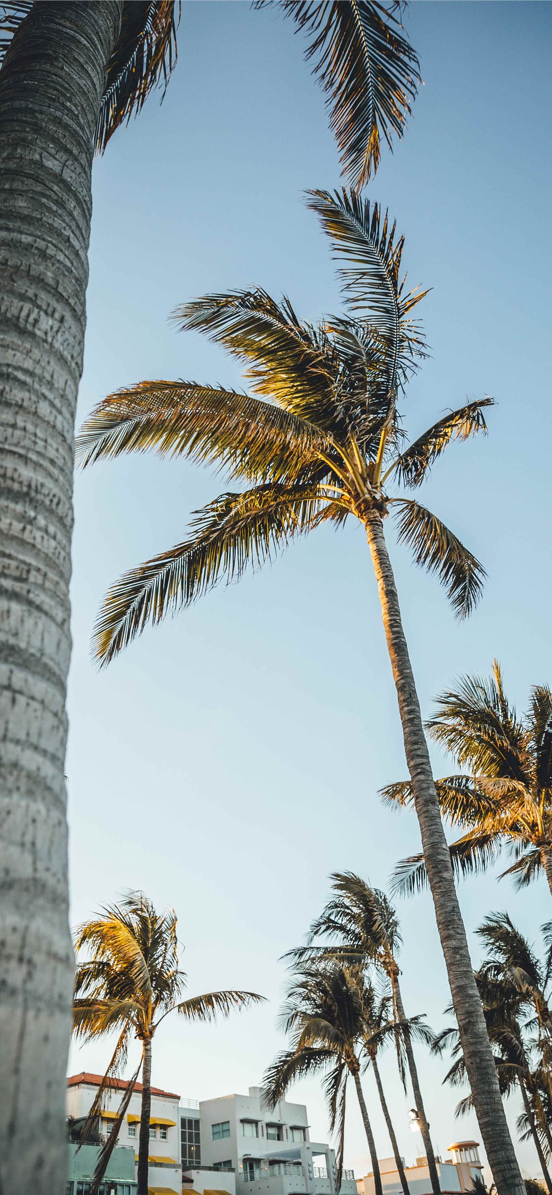 Miami Beach Wallpaper Iphone - 1125x2436 Wallpaper Miami Beach Wallpaper Iphone - 1125x2436 Wallpaper