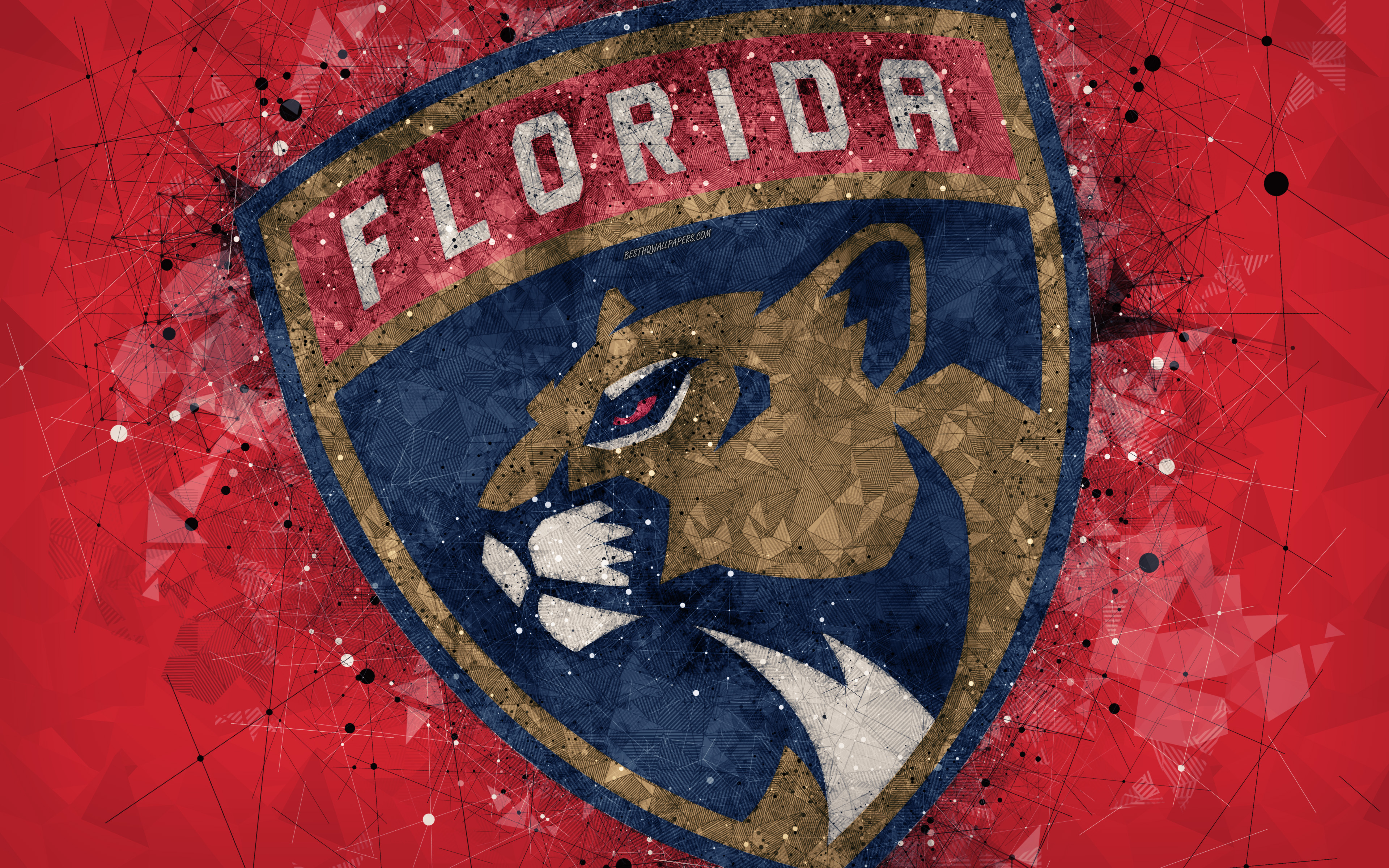 Florida Panthers - HD Wallpaper 