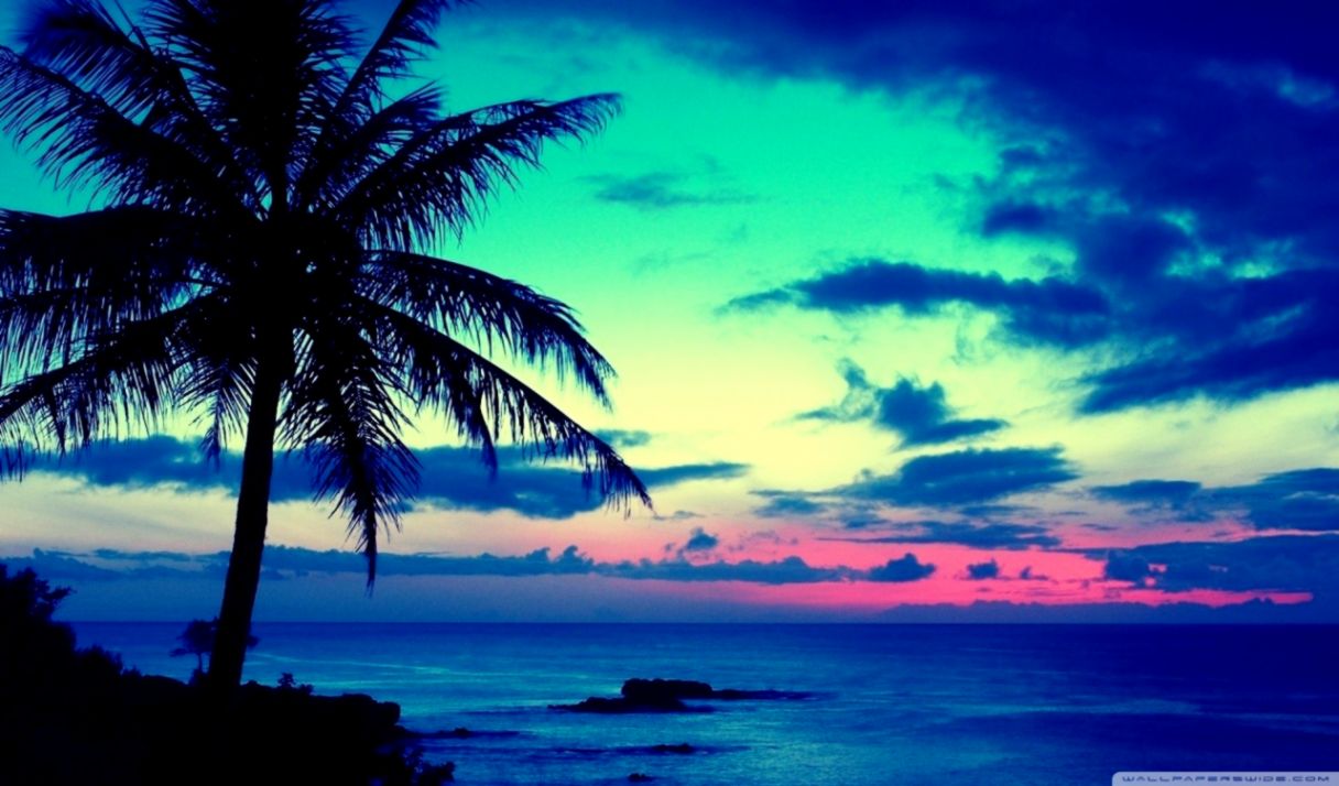 Tropical Sunrise ❤ 4k Hd Desktop Wallpaper For 4k Ultra - Tropical Wallpaper Hd - HD Wallpaper 