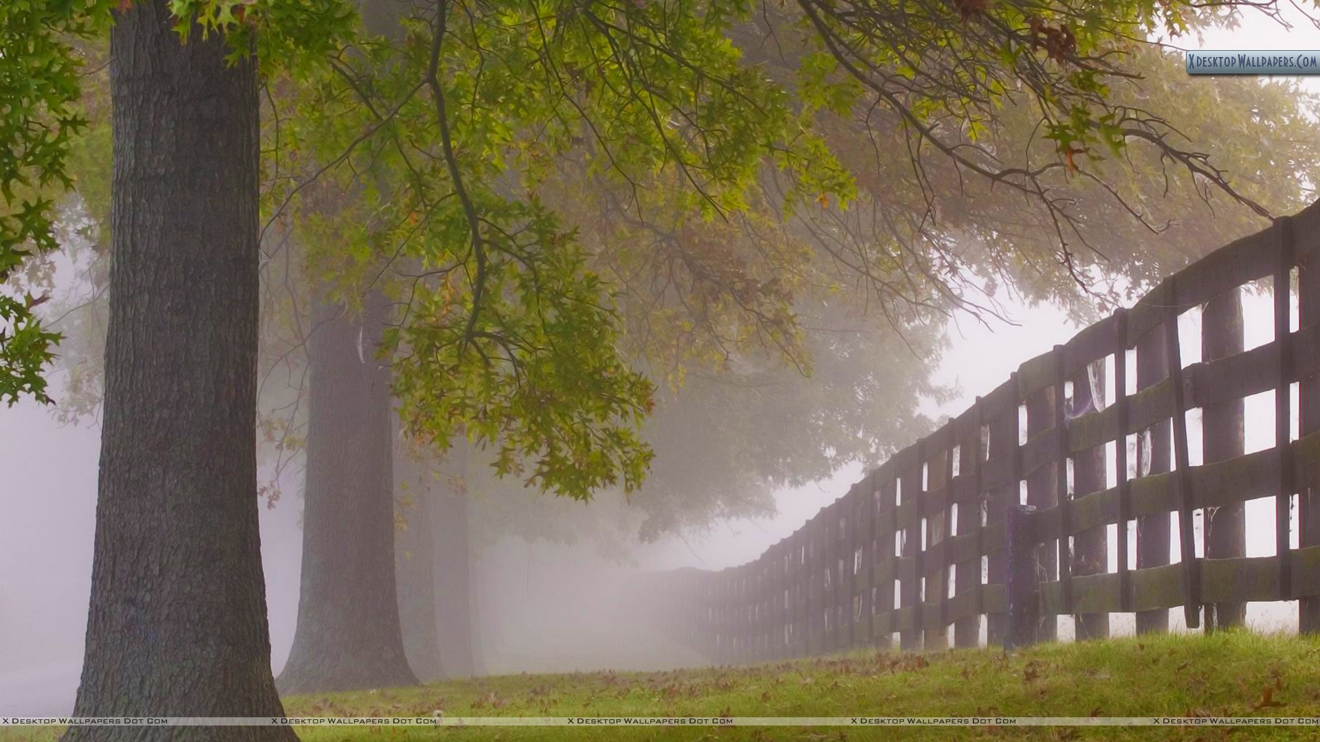 Tamil Kadhal Kavithai In Hd - HD Wallpaper 