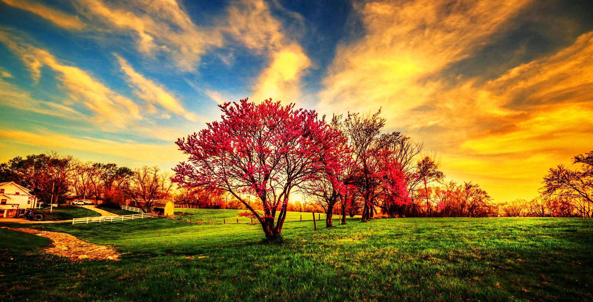 Awesome Wallpaper Of Nature - 2048x1045 Wallpaper Awesome Wallpaper Of Nature - 2048x1045 Wallpaper