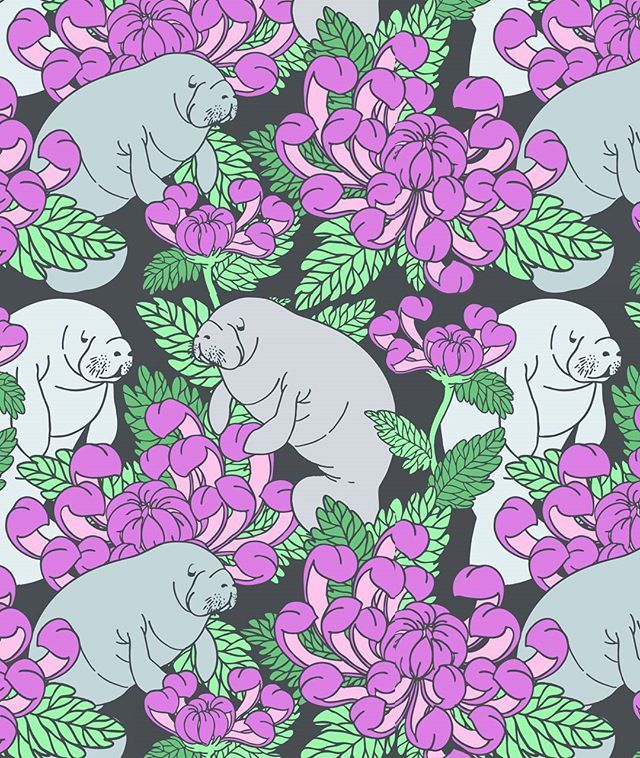 Manatee - HD Wallpaper 