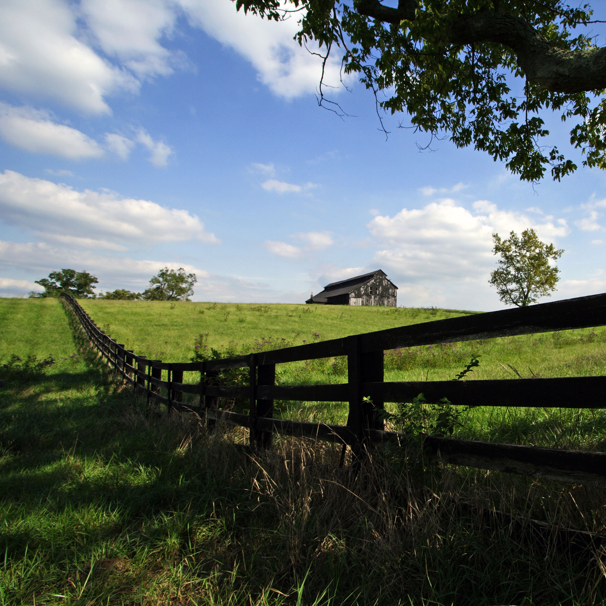 Kentucky Summer Ipad Wallpaper - Kentucky Ipad Background - HD Wallpaper 