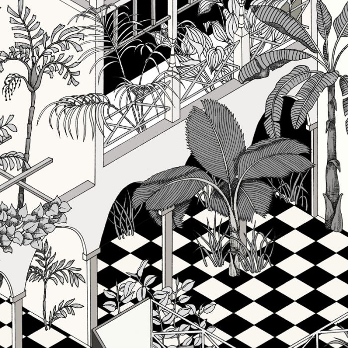 Cole And Son Miami 700x700 Wallpaper teahub.io