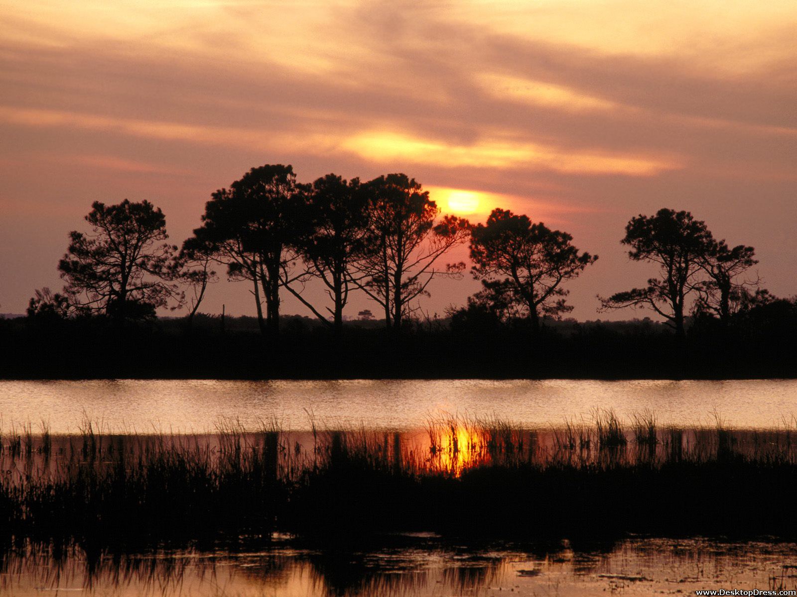 Outer Banks, Roanoke Sound, North Carolina - North Carolina Backgrounds - HD Wallpaper 