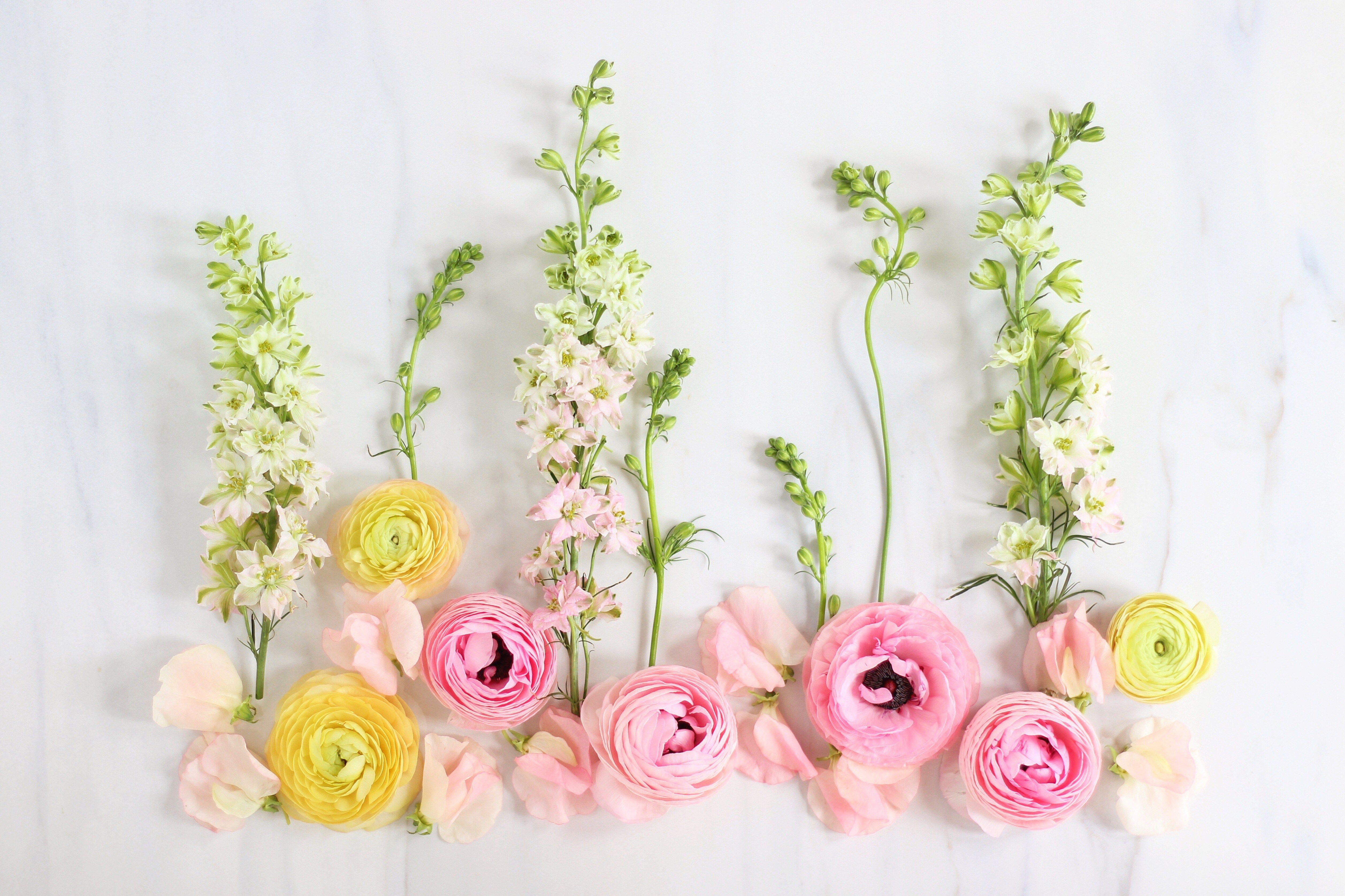 Justine Celina Digital Blooms - HD Wallpaper 