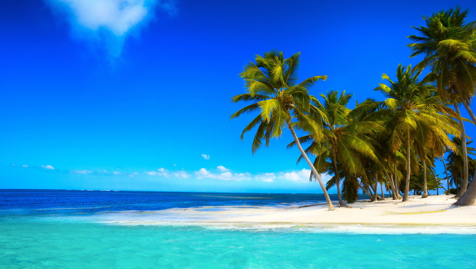 Sea, Beach, Coast, Cloud, Palm, Blue, Summer, Emerald, - Palm Beach - HD Wallpaper 