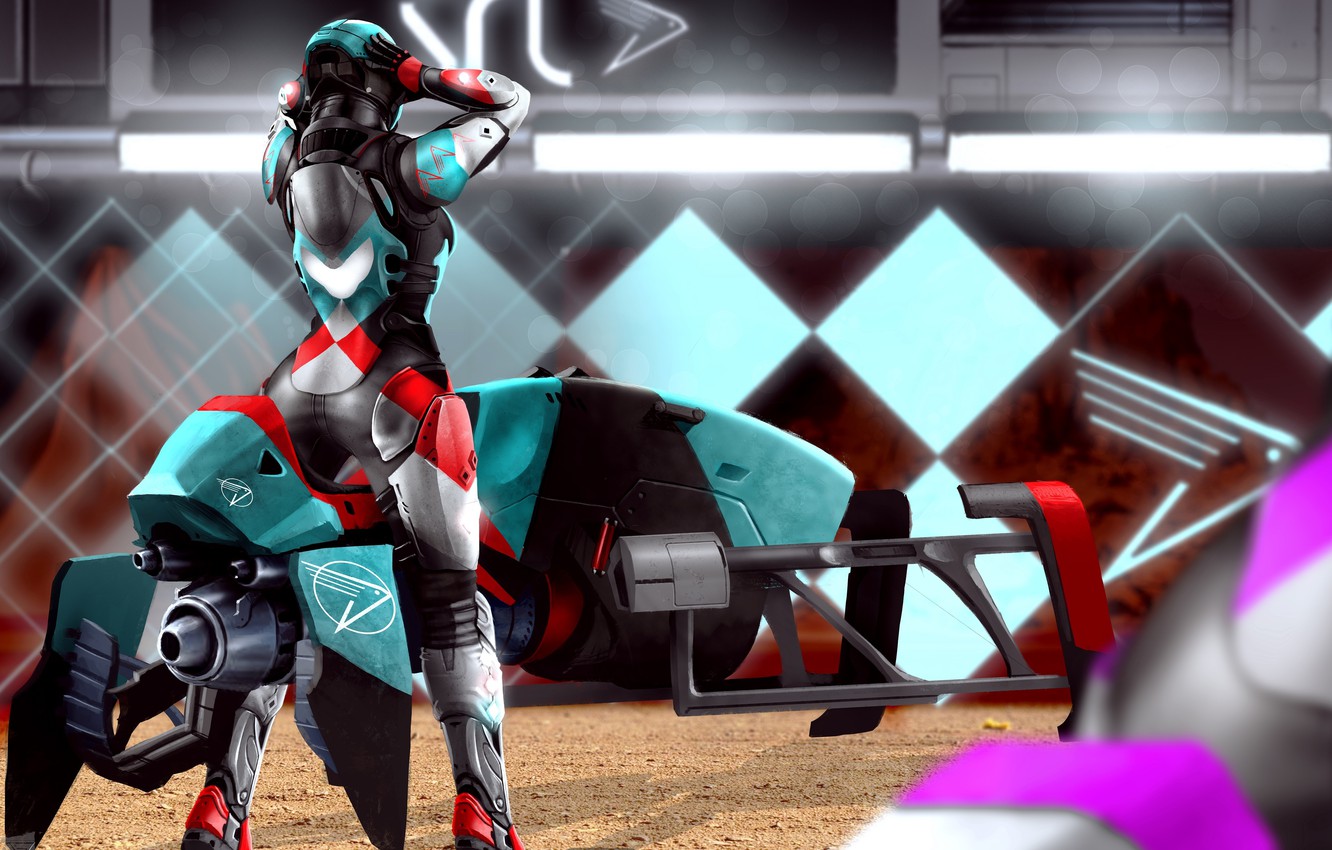 Photo Wallpaper Destiny, Hunter, Art, Warlock, Sparrow, - HD Wallpaper 