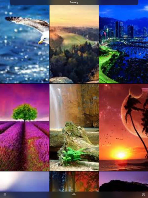 Collage - HD Wallpaper 