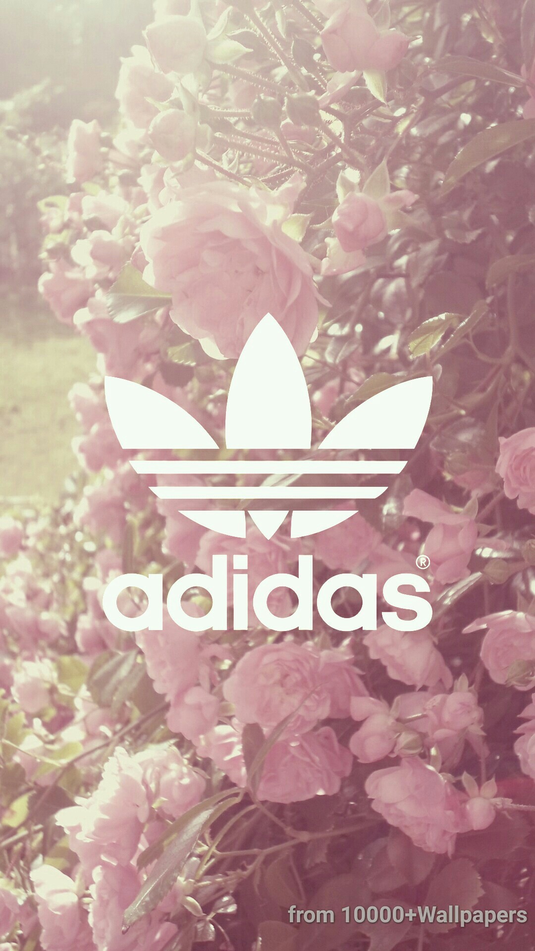 Adidas, Fleurs, Violine 
 Data-src - Süße Hintergrundbilder Für Mädchen - HD Wallpaper 