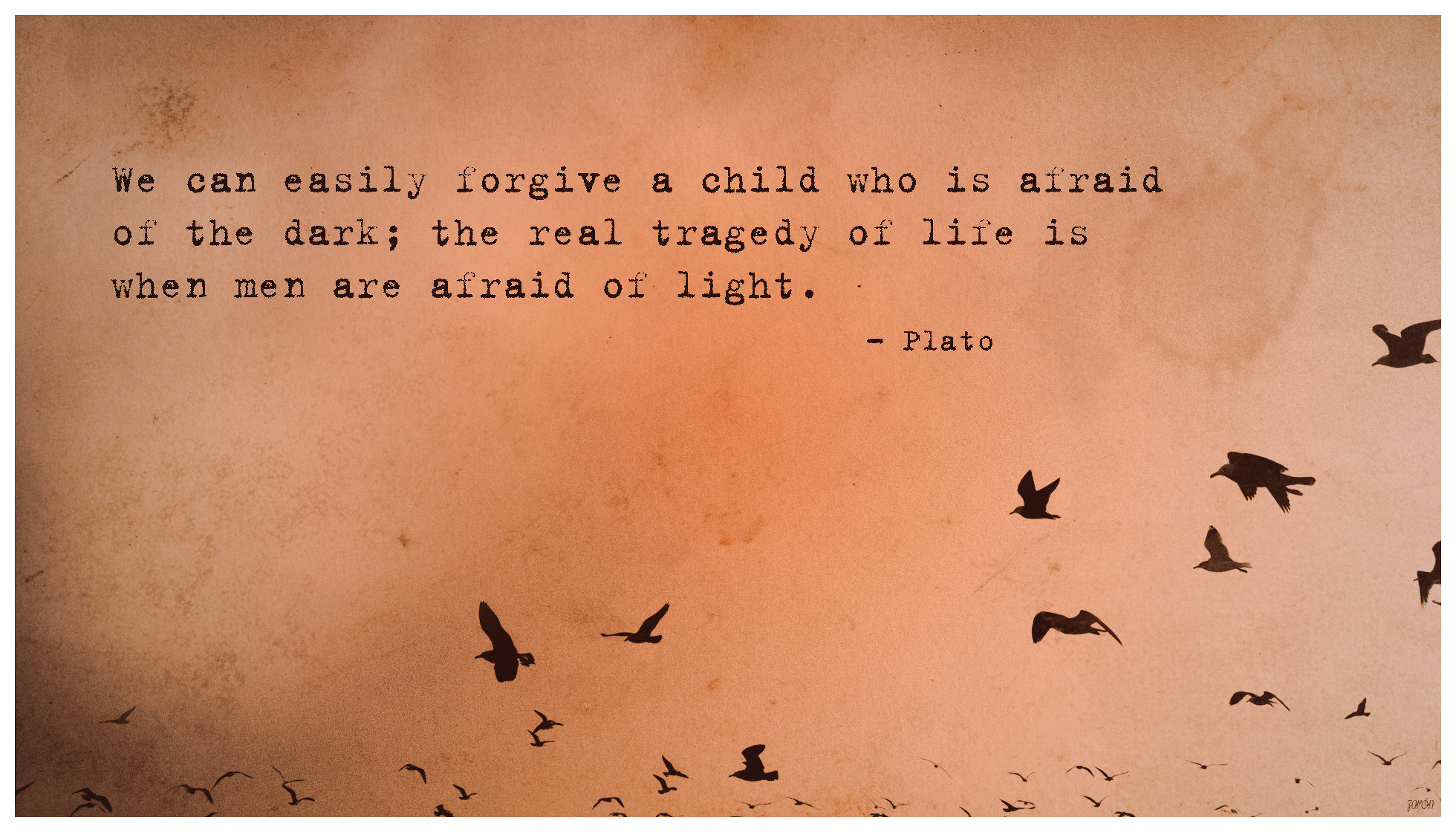 Plato Quote Tragedy Of Life Toaster Hd Wallpaper - Nine Inch Nails Birds - HD Wallpaper 