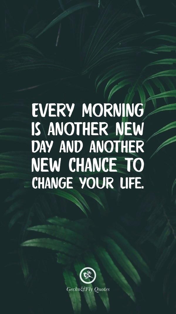 Attitude Quotes In Hd Every Morning Is Another New - Attalea Speciosa - HD Wallpaper 