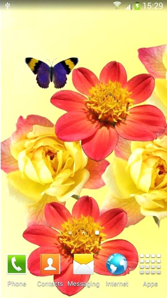 Flower - HD Wallpaper 