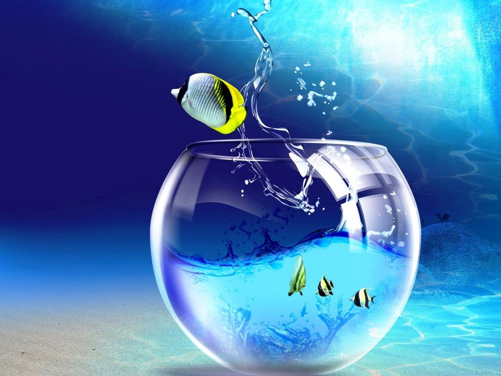 Animated Desktop Wallpapers For Windows 7 - 1024x768 Wallpaper Animated Desktop Wallpapers For Windows 7 - 1024x768 Wallpaper