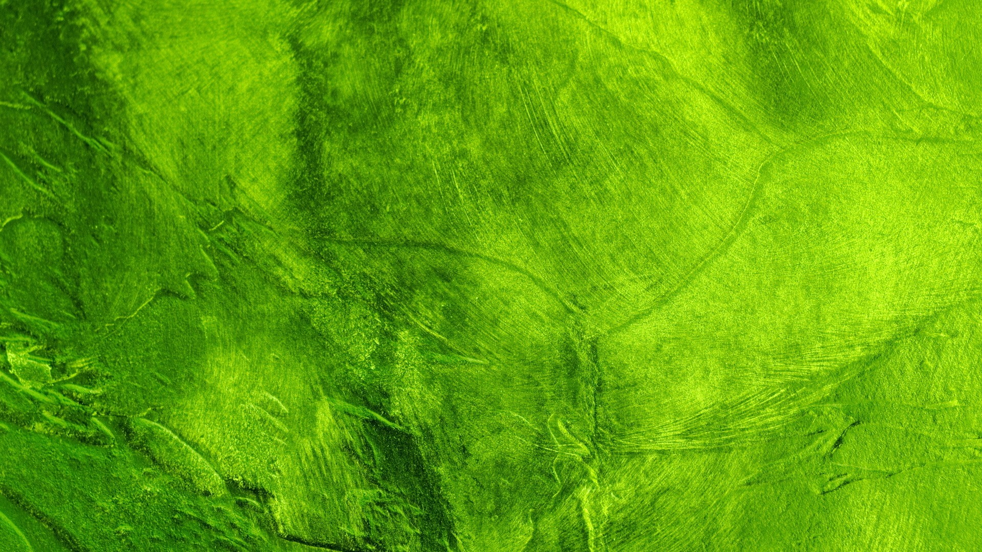 Green Wallpaper Hd - Green Wallpapers Widescreen - HD Wallpaper 