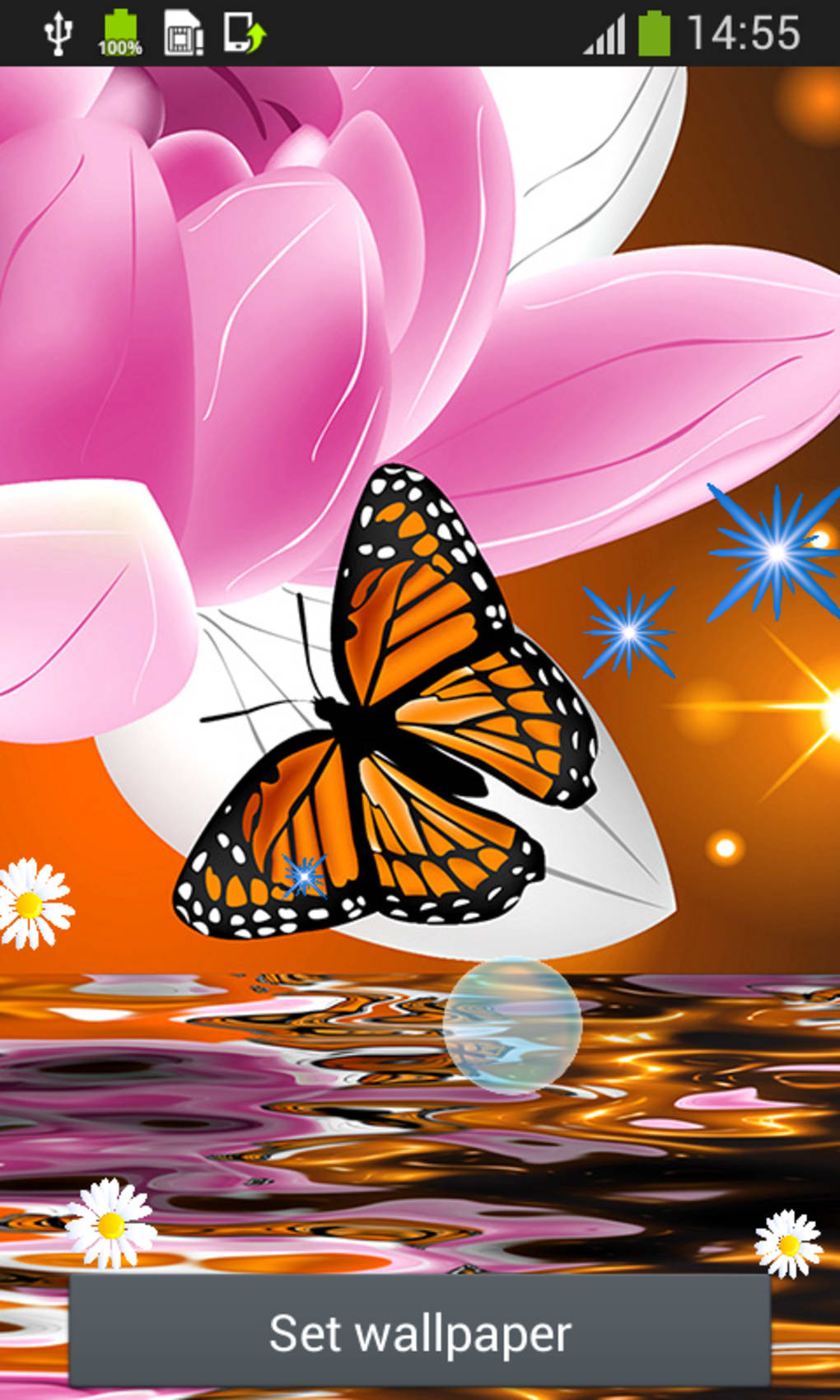 Butterfly Live Wallpapers - Butterfly Latest Full Screen Wallpaper 3d -  1020x1700 Wallpaper 