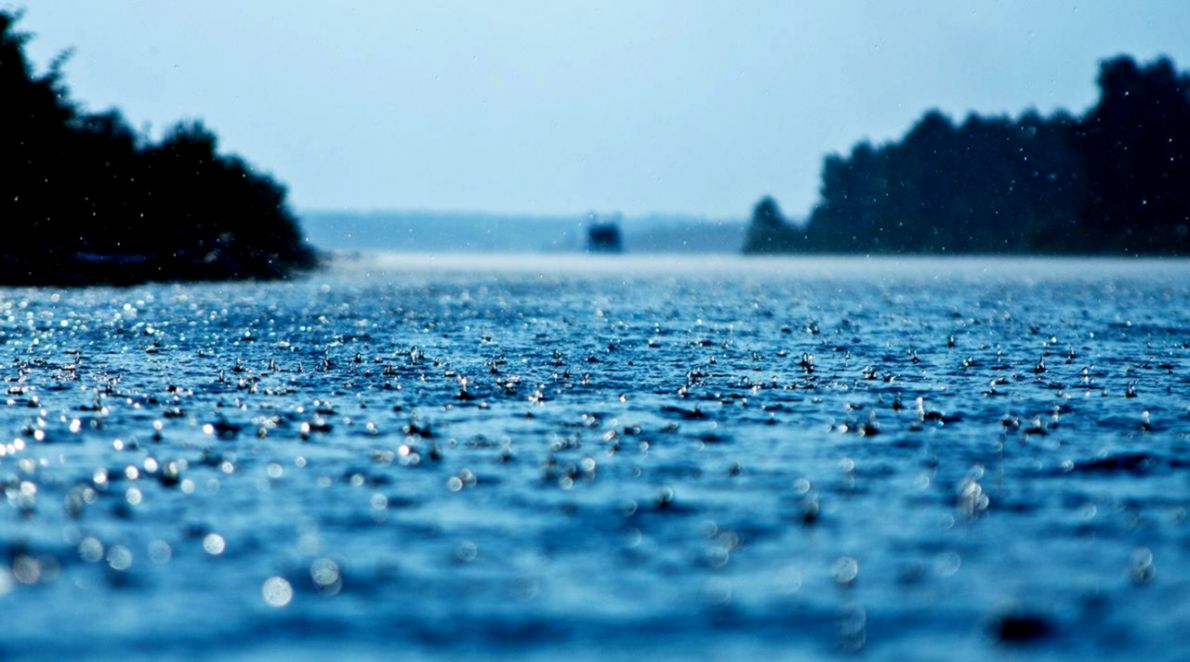 Rain Live Wallpaper App Ranking And Store Data App - Hd Desktop Wallpapers Nature Rain - HD Wallpaper 
