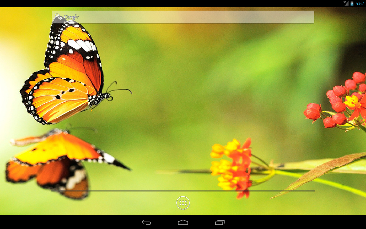 Nice Dp For Whatsapp Blue Butterfly - HD Wallpaper 