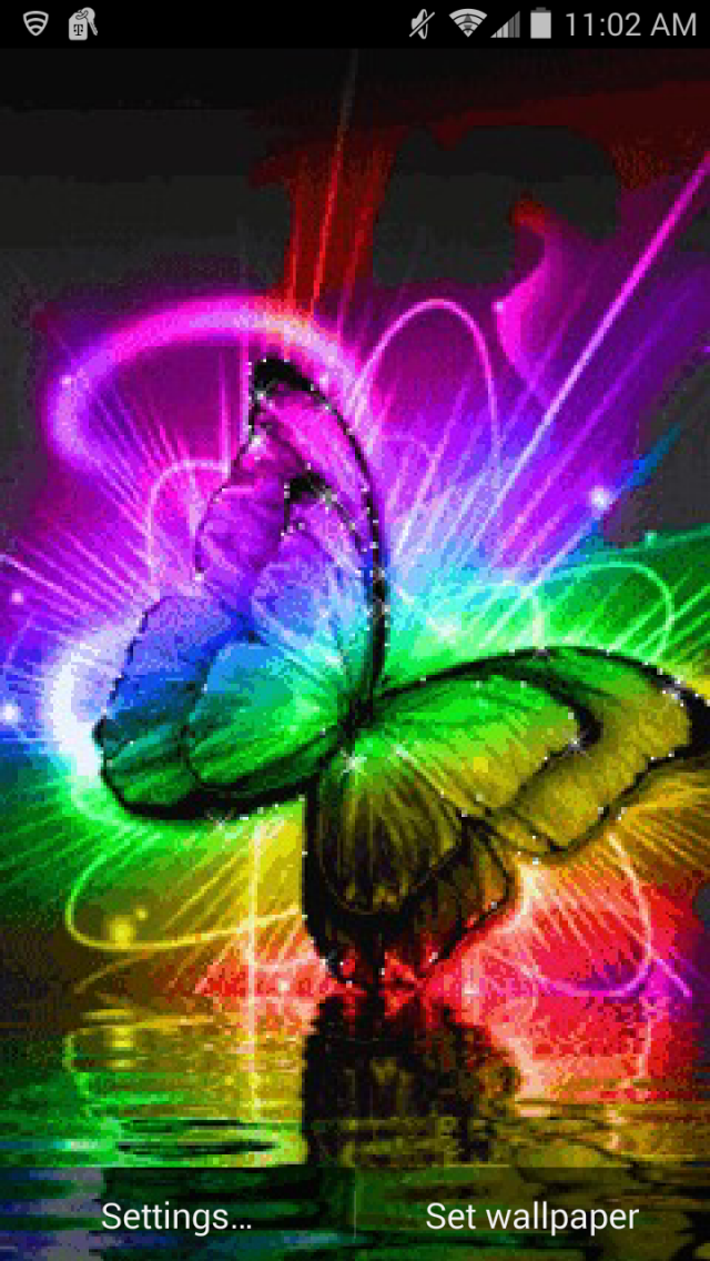 Live Butterfly Wallpaper - Colourful Butterflies Gif - HD Wallpaper 