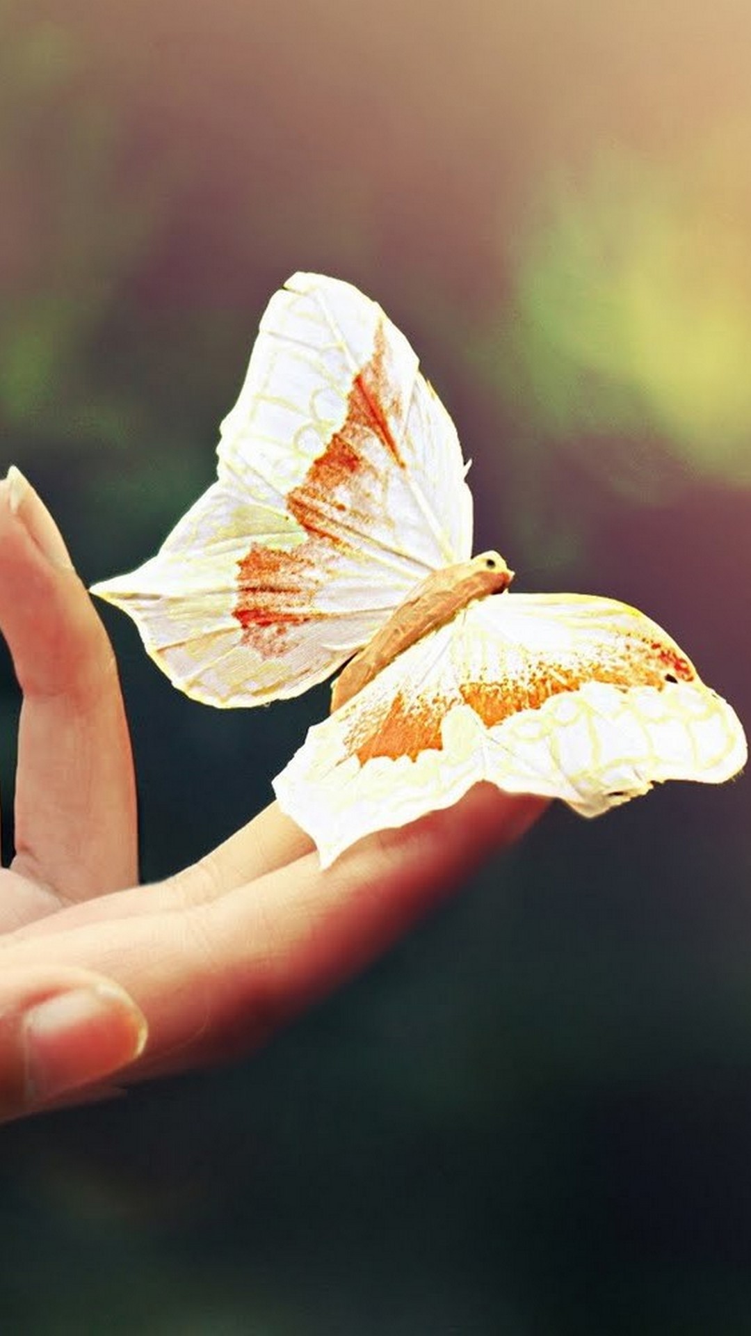 Wallpaper Butterfly Iphone - Wallpaper - HD Wallpaper 