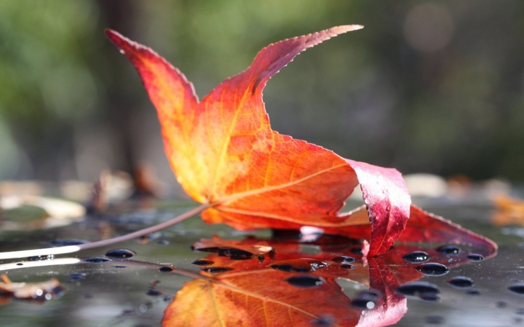 3d Rain Live Wallpaper - End Of My Life - HD Wallpaper 