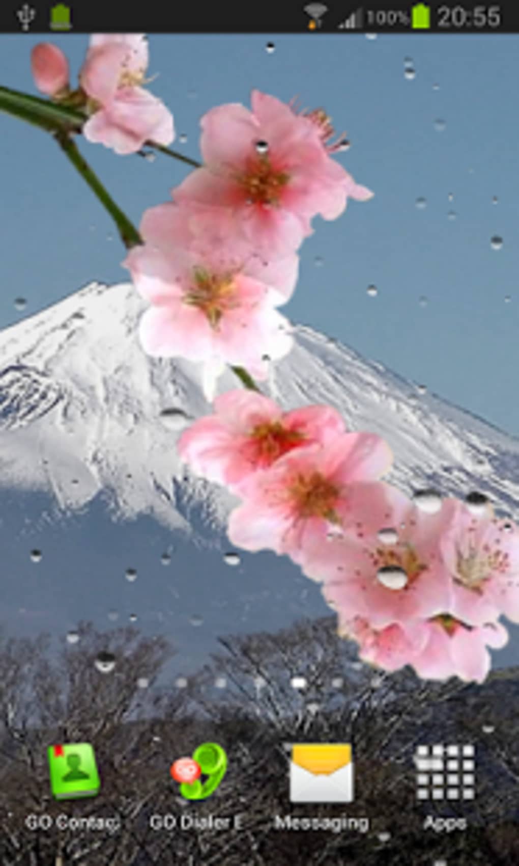 Cherry Blossom - HD Wallpaper 