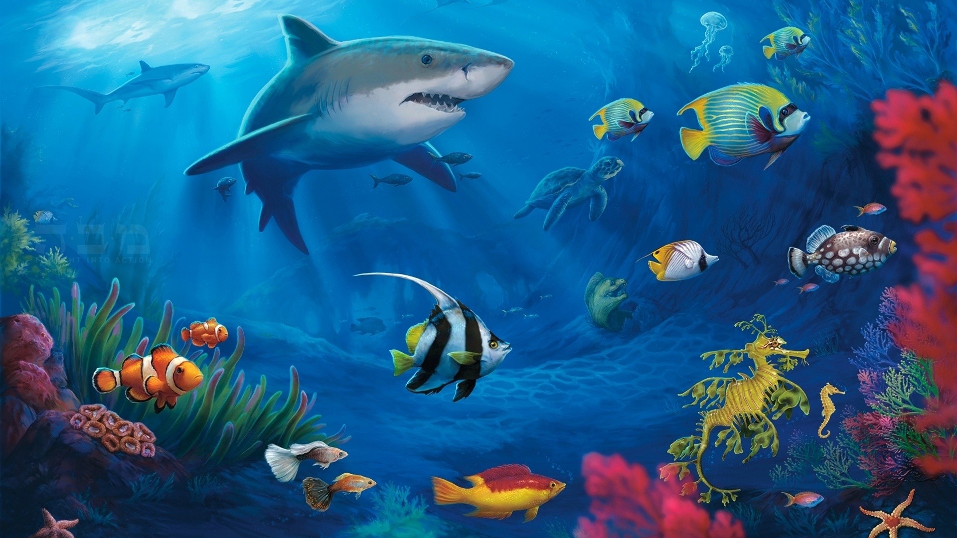 Best Aquarium And Fish Live Wallpapers For Android - Desktop Wallpaper Live  - 1920x1080 Wallpaper 
