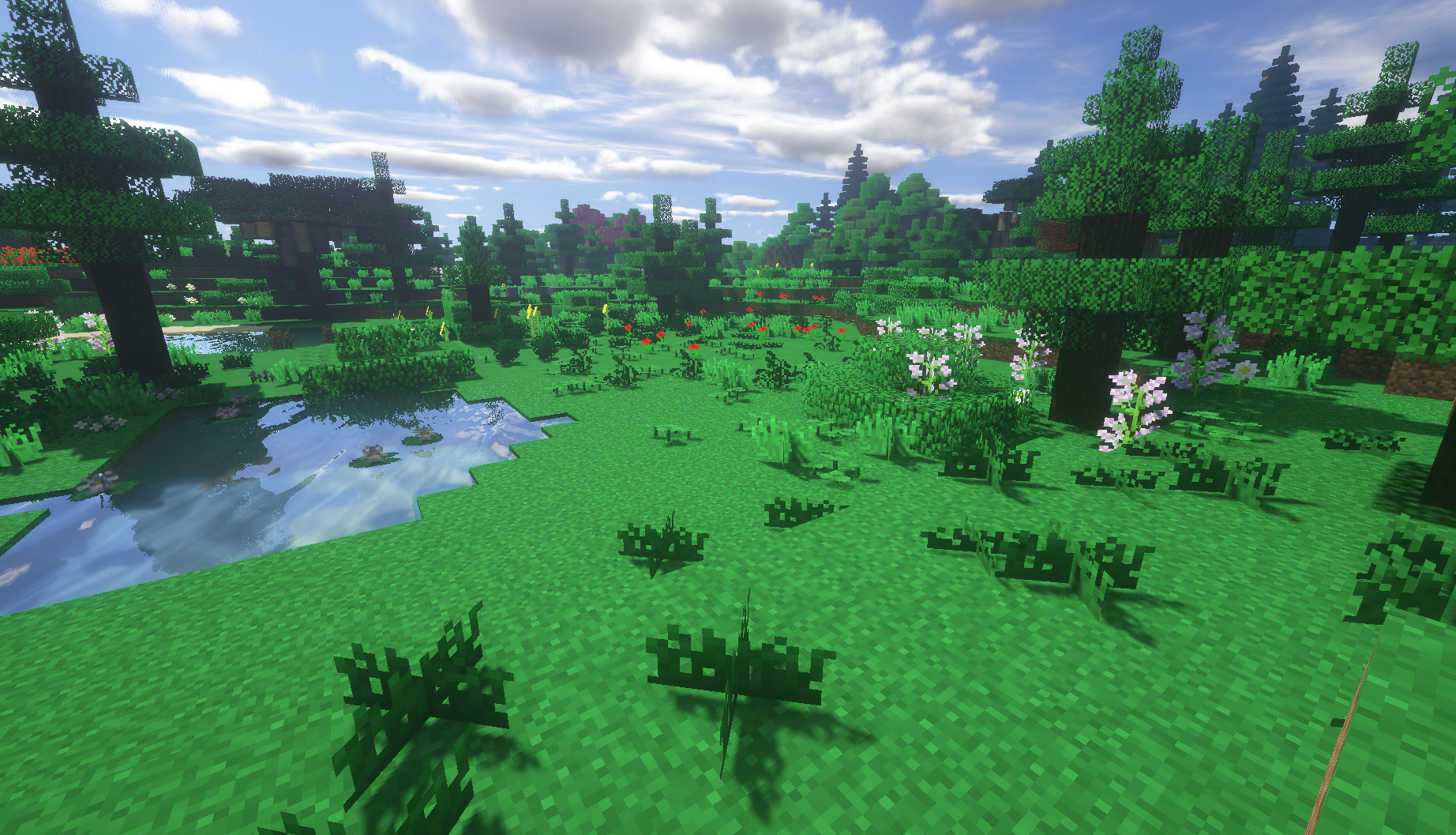 Grass - HD Wallpaper 